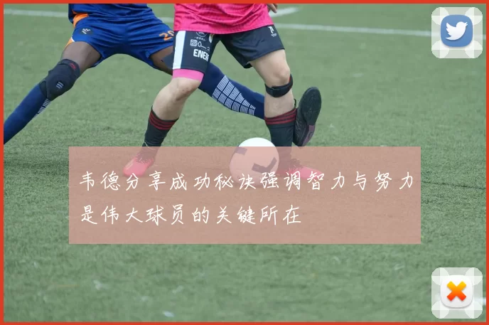 韦德分享成功秘诀强调智力与努力是伟大球员的关键所在